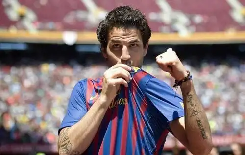 弗朗西斯科·法布雷加斯(francesc fabregas soler)