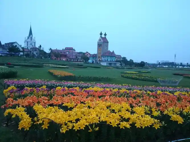 欢迎游览:武汉市蔡甸花博汇