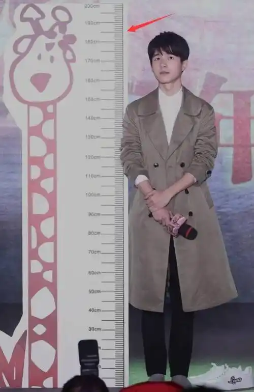 王俊凯这身高176cm也是真实的,何况王俊凯身高还在长.