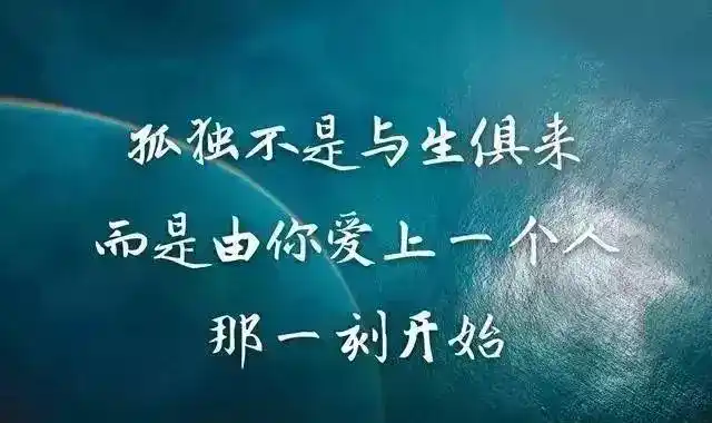被爱伤的很深的句子被情所伤的成语和句子
