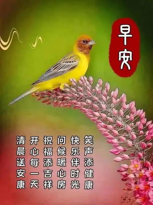 温馨的早安问候语暖心祝福图片今日最新早安问候图片