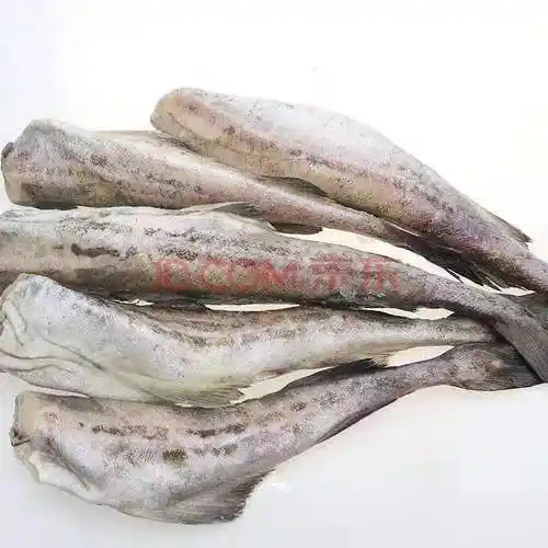 【顺丰】无头鱼新鲜冷冻鳕鱼银狭鳕鱼明太鱼新鲜海鲜 二斤