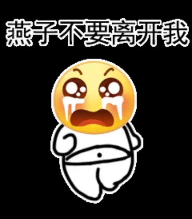 燕子不要离开我表情包来啦 燕子没有你我可怎么活