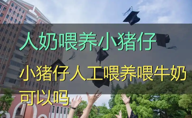 人奶喂养小猪仔,小猪仔人工喂养喂牛奶可以吗_秘闻网