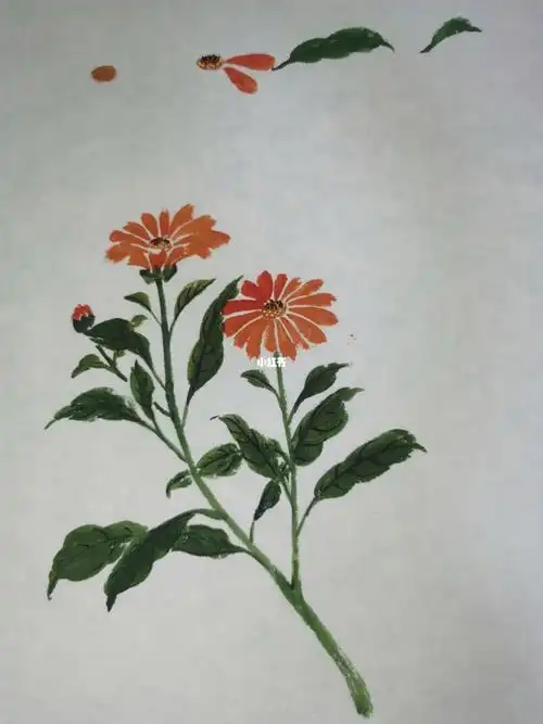 国画雏菊最简单画法