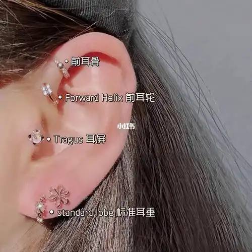 耳洞位置分享