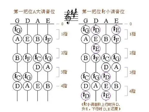 小提琴初学者把位图ppt