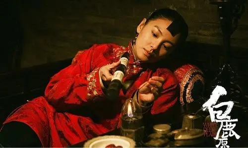 枣子|鲜枣|和田枣|和田玉枣|枣供应|枣求购|枣采购|枣批发|枣出售|枣