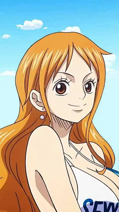 娜美(《海贼王》女主角)_石塘网