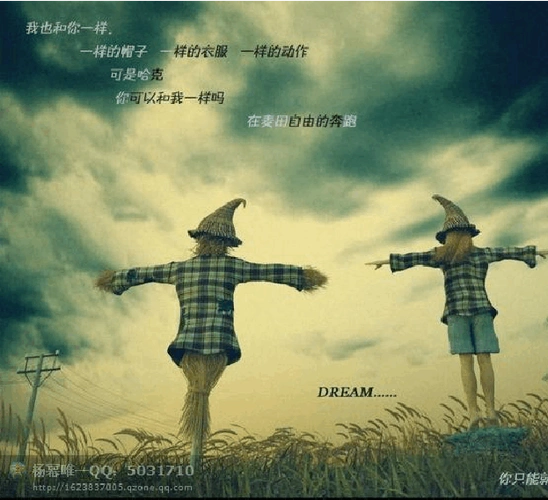 joness="joness">【seven years】norah jones觉得她的声音像阳光打在