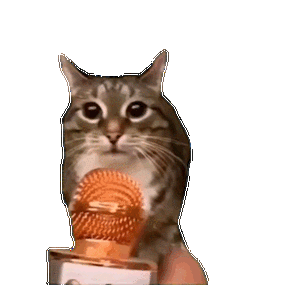 坐等端午,爱你呦丨第1012期喵表情包_猫咪_青年