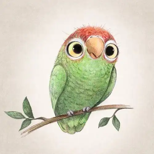 萌萌的手绘小动物