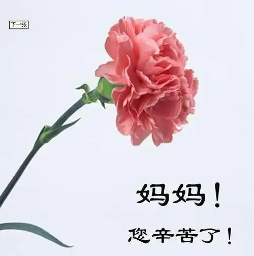 母亲生日祝福语