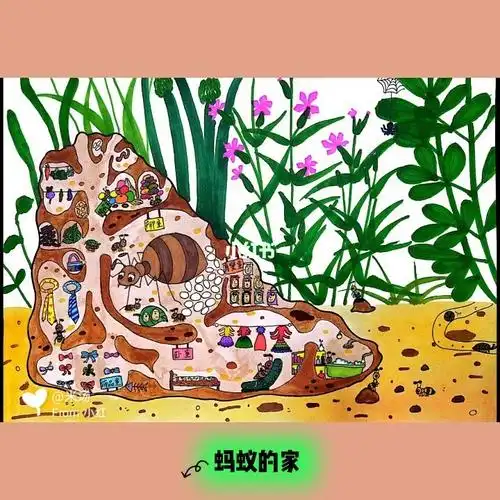 蚂蚁的家视频教程
