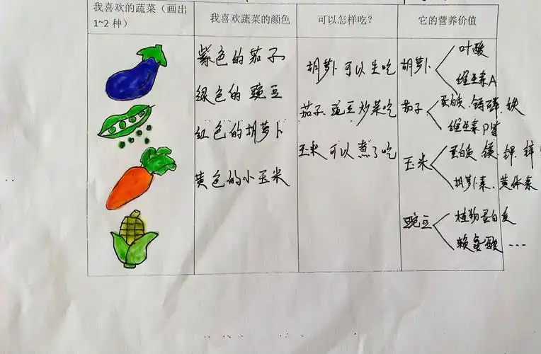 中一班班本课程—香香的蔬菜