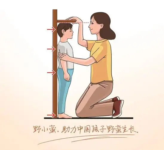 定期测量孩子身高