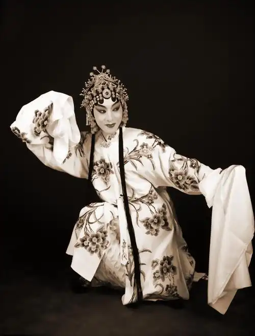 【转载】(转)京剧程派男旦---杨磊