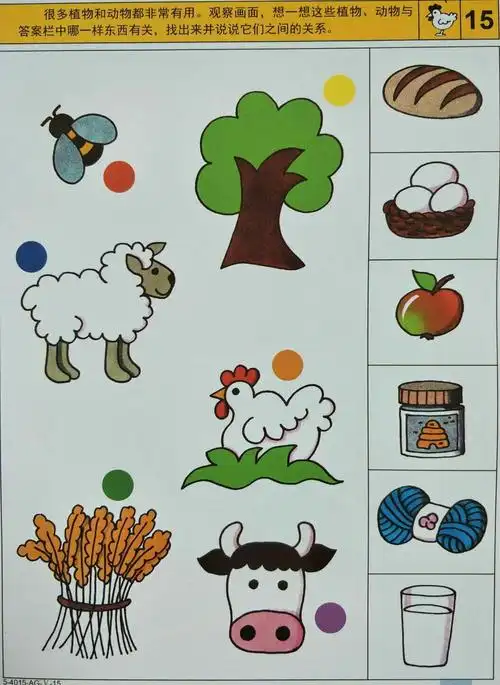 将有关联的两种事物进行配对,培养孩子的分类及推理能力.