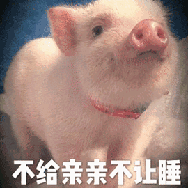 亲亲猪睡觉搞怪可爱gif动图_动态图_表情包下载_soogif