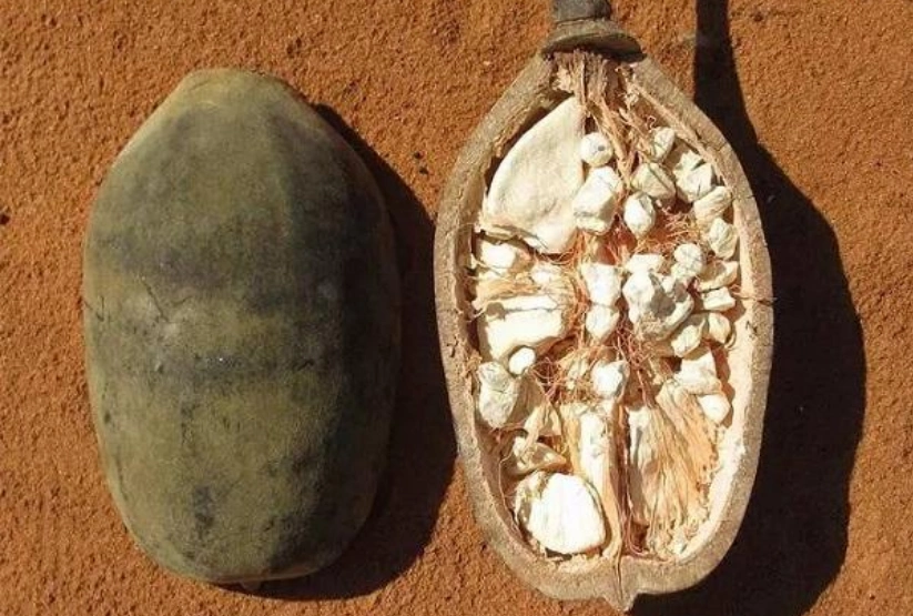 草莓阿诺,一碗价值900万人民币的水果甜点,140万美元,不得不说,这是小