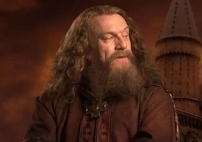 哈利波特霍格沃茨四大学院创始人当年可能教什么课程呢