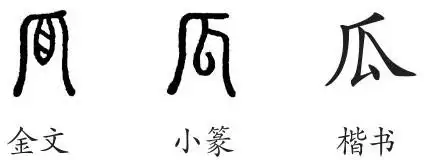 "瓜"是象形字.