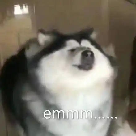 emmmm表情图搞笑图片表情