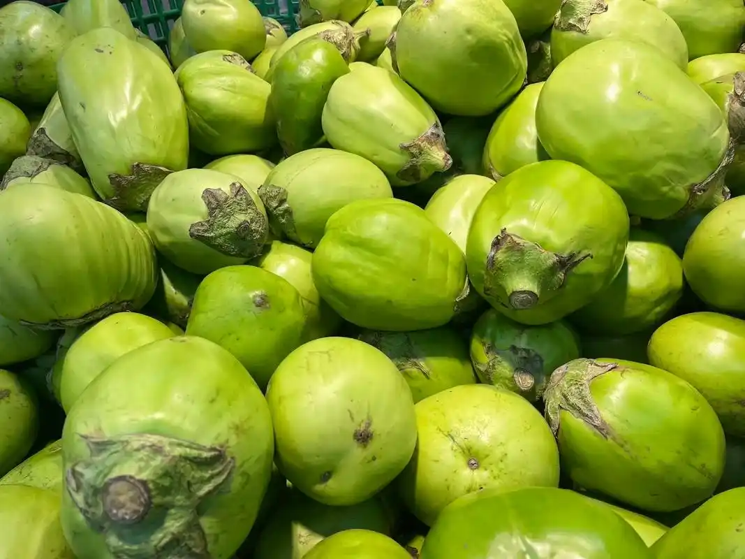 东北看到的果蔬:绿茄子98?还有很多? - 抖音