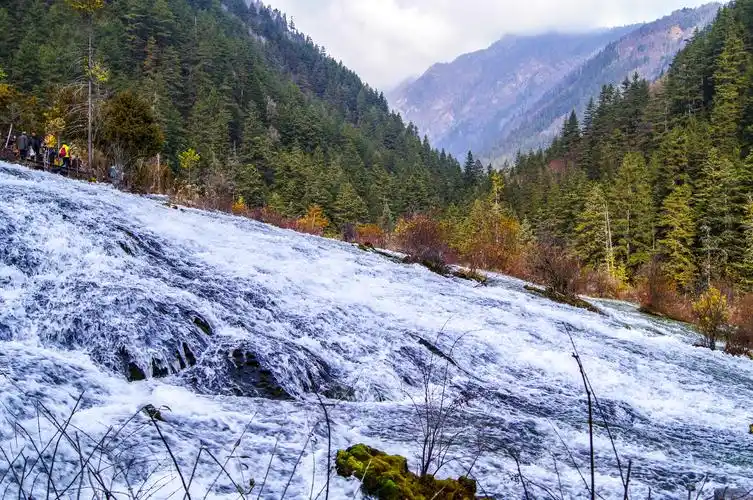 了许多斑斓的色块,宝蓝,翠绿,橙黄等有"九寨沟一绝"和"九寨精华"之誉
