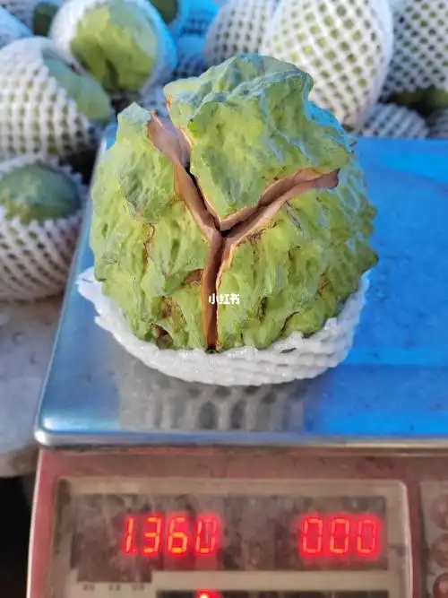 136斤的释迦果一个人吃不完自动分好