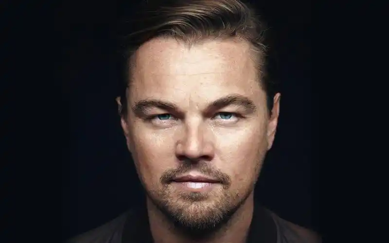 【小李子混剪】 回忆曾经的小胖莱