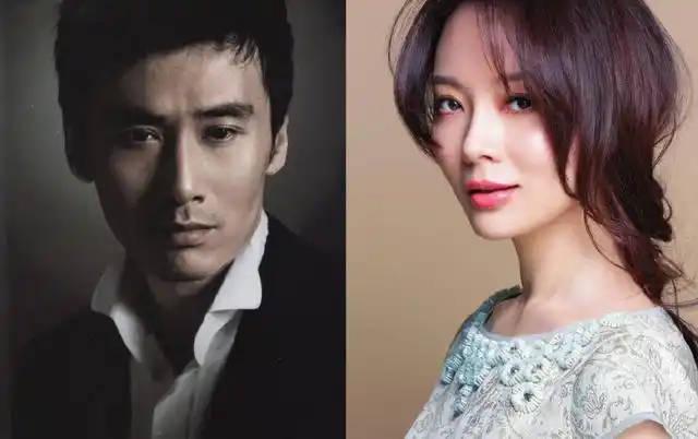 柳云龙陈数为什么离婚