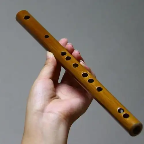 随身 便携式_便携式小型随身乐器迷你横笛自学短笛子袖珍竹笛初学儿童