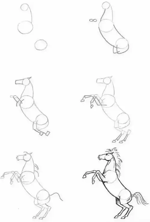够你画一整年的动物速写教程 - 元艺考