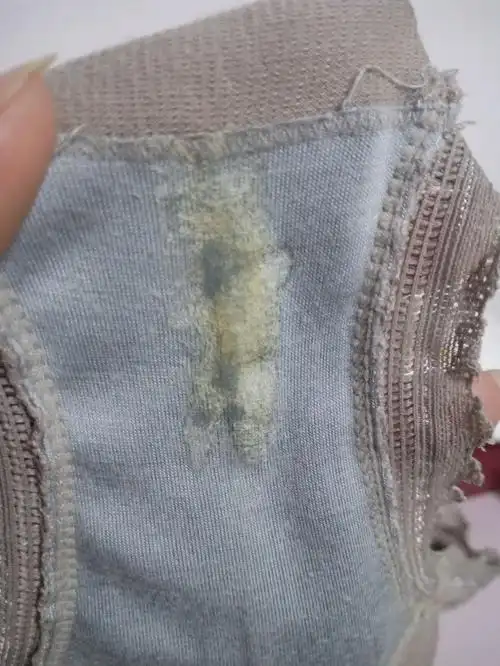 排卵同房后内裤上有