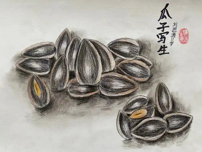 少儿美术彩铅瓜子写生10岁11岁