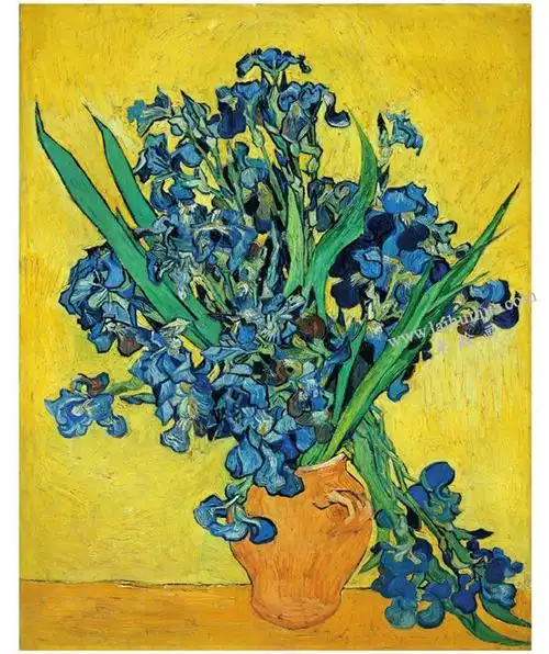 梵高《鸢尾花》布面油画高清大图