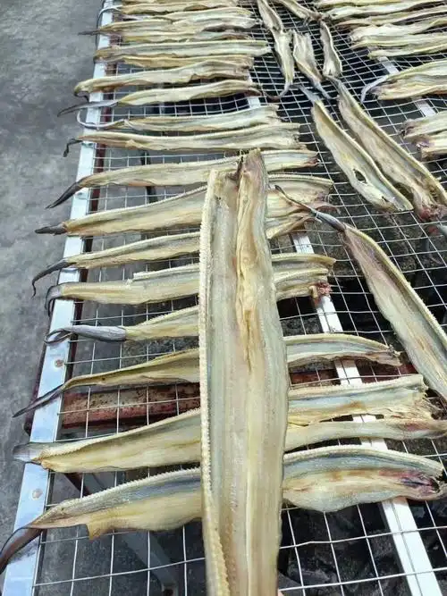 小鳝干也叫海鳗鱼干一斤9045元