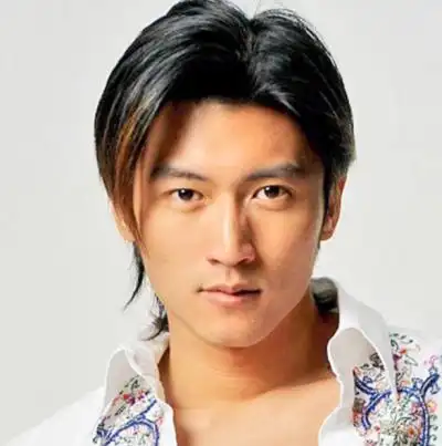 谢霆锋百科-谢霆锋简历|个人资料-排行榜123网