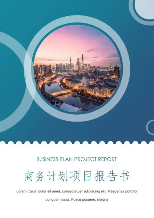 计划项目报告书.docx 1页