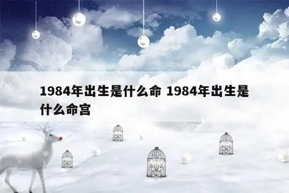 1984年出生属鼠的人是什么命