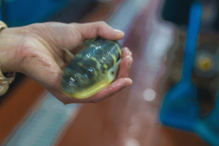 800_533gif 动态图 动图