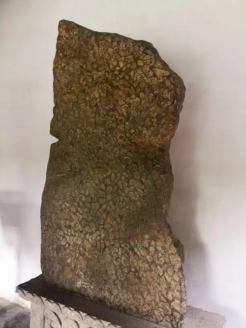 上海最古老的园林 醉白池