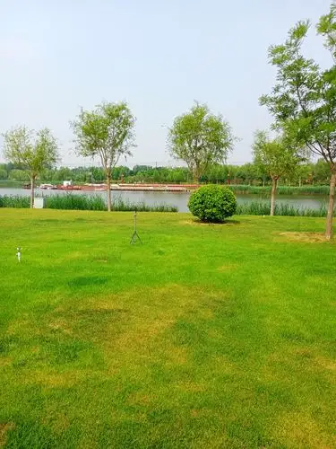 北湖公园游2021年7月5日周一