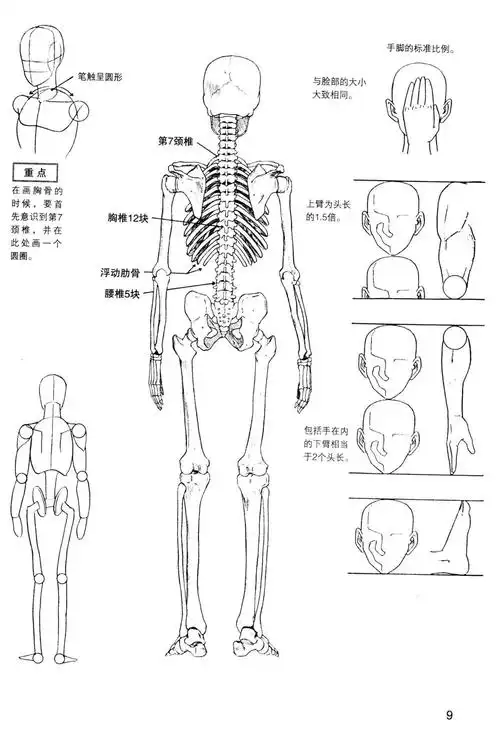 [漫画教程]日本漫画手绘技法经典教程02 人物身体的画法[133p]