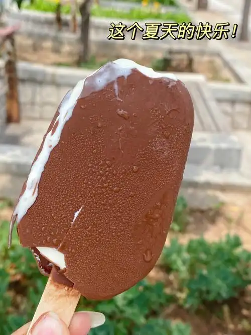 有谁小时候没吃过美登高脆皮么