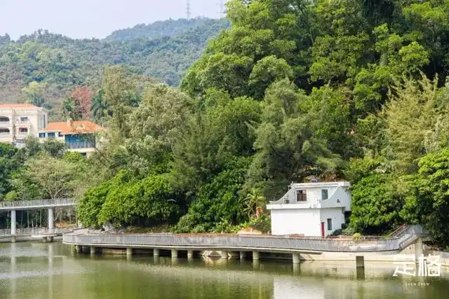 深圳环银湖水库碧道要火