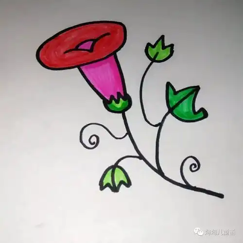 牵牛花装饰简笔画涂色