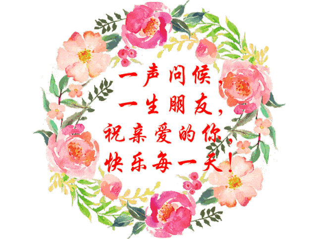 年华已老一声珍重,一句祝福送给我最牵挂的你致我亲爱的老同学时光在