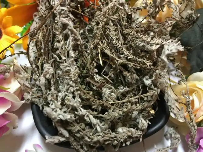 水牛角 - 药材图谱 - 中华药典-岭南中药网